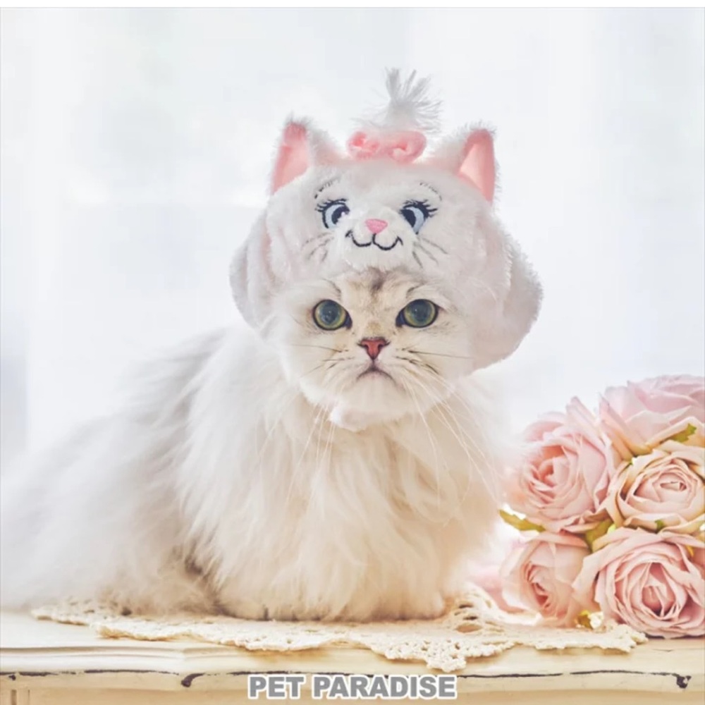 Japan Pet Paradise Marie Cat Plush headwear